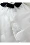 Classic Charm Peter Pan Collar Dress - 4