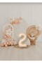 Sea Sand & Salmon & White Daisy 70 Balloon Retro Birthday Party Set - 2