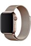 Apple Watch 38mm 40mm 41mm 42mm | Milanese Loop Band | Classic Gold