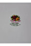 Old Country Roses English Antique Porcelain Tray - 5