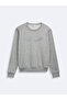 Gray Sweatshirt