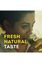 Pure Green Tea Value Pack 50 Teabags 75 gNatural Antioxidant Rich Drink for Daily Wellness - 3