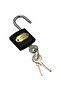 Short gray 63 mm hanging lock - 3