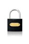 Short gray 63 mm hanging lock