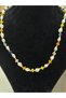 Colorful Seashell Necklace