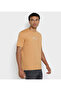 Men's Brown Crew Neck Tee - 3