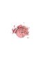 Blush - Powder Blush No: 138691190605131 - 5