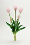 Real Textured Luxury 5 Branch Tulipa Tulip Bouquet Powder Pink - 3
