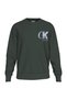 LS EU 350TERRY CK OVERLAP GRAPHI - 5