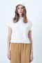Women's Ecru Stand Collar Half Sleeve Knit Blouse Alc-X14628 - 2