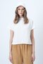 Women's Ecru Stand Collar Half Sleeve Knit Blouse Alc-X14628 - 5