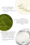 Acne and Blackhead Anti-Sebum Balancing Cream (BHA 2% + Niacinamide 5% + Tea Tree Oil) - 7