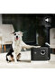 Spot Cleaner PR 8038 Buharlı & Vakumlu Temizleyici - 4