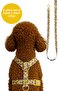 H Type Pla Clips Dog Collar + Walking Leash Set