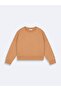 Brown Sweatshirt - 2