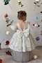 Baby Girl Dress Short Sleeve Bow Detail Birthday Party Wedding Special Occasion Formal Children's Dress - 3