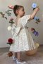 Baby Girl Dress Short Sleeve Bow Detail Birthday Party Wedding Special Occasion Formal Children's Dress - 8