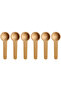 6 Colorful Spice Shovels Spice Spoons