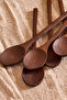 Dara Acacia 6 Spice Spoons - 4