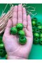 22 mm Green Wooden Beads (50 Gr 13 Pieces) Wide Hole Diameter 8 mm Macrame Bag Bracelet Jewelry Colorful - 2