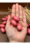 20X30 mm Pink Color Oval Wooden Beads (13 Pieces) Macrame Bag Design Wooden Beads Hole Diameter 7 mm - 2