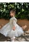 Baby Girl Dress Long Sleeve Flowy Cotton Birthday Party Special Occasion Wedding Girl Kids Dress - 3