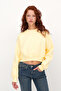 Fleece-Lined Basic Sweatshirt S3812-İ13
