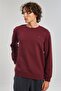 Crew Neck Logo Men's Sweatshirt - Claret Red - 2