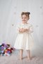 Girls' Dress Long Sleeve Ruffled V-Neck Special Occasion Birthday Wedding Party Daily Baby Girl Dress - 4