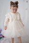 Baby Girl Dress Lace Tulle Tutu Birthday Special Day Wedding Party Cotton Evening Dress Girl Kids Dress - 6