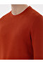 Brown Regular Fit Sweatshirt 50313298-Vr040 - 7