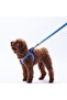 Charm Leash Evil Eye Patterned Cat Dog Travel & Traveling Strap Dog Extension Leash-2Cm - 2
