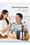 ROSEBIBI Juicer Machine, 500ML large capacity and efficient Countertop Blenders for Whole Fruits and - 4