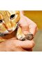 Pet Nail Clipper And Rasp Set Manicure Pedicure Paw Care Tool Non-Slip Handle - 4