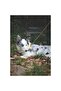 Wild Safari Leash Regular (S-M) - 4