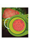 Secret Puzzle - Forest - 5