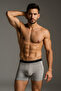 GRİ ERKEK BOXER - 2