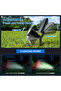 Outdoor Solar Garden Lights, 18 LED Waterproof Pathway Lights, 2 Pack Warm White Yard Decor - 4