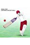 Intense Clout Kashmir Willow Cricket Bat Short Handle Mens - 5