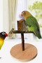 Portable Wooden Bird Perch – Durable Training and Play Stand for Parrots and Small Birds - 3