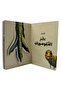 اكتشف عالم الديناصورات - افتح النافذة واكتشف بأكثر من 60 طية داخل الكتاب - 6