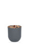Ficus tree in plastic tub - 3