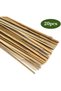 FFD Plant Stakes Natural Garden Bamboo Sticks for Indoor and Outdoor Plants, Flowers 120cm 20 pcs - 3