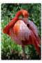 Cakasepetim Cleans the Flamingo Feathers 255 Piece Puzzle Jigsaw Puzzle Mdf (Wood)