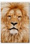 Cakasepetim Tired King Lion Close-Up 500 Piece Puzzle Jigsaw Puzzle Mdf (Wood)