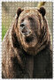 Cakasepetim Large Brown Bear Close-Up 500 Piece Puzzle Jigsaw Puzzle Mdf (Wood)