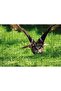 Cakasepetim Flying Owl in Nature 500 Piece Puzzle Jigsaw Mdf (Wood)