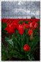 Cakasepetim Cloudy Skies, Tulip Field and Windmill in the Distance 120 Piece Puzzle Jigsaw Mdf (Wood)