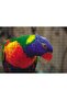 Cakasepetim Swainson Parrot Close-Up 255 Piece Puzzle Jigsaw Puzzle Mdf (Wood)