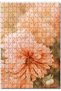 Cakasepetim Pale Pink Colored Flowers Close-Up 255 Piece Puzzle Jigsaw Puzzle Mdf (Wood)